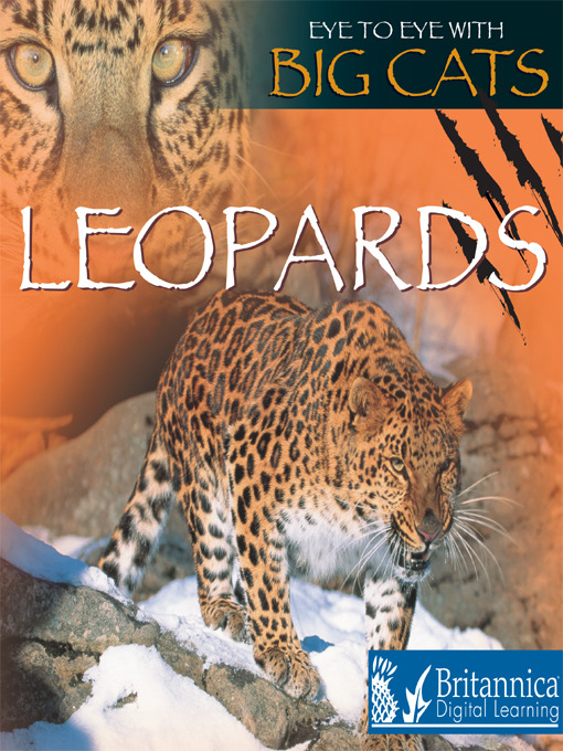 Title details for Leopards by Jason Cooper - Available
